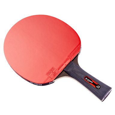 Ensemble de ping-pong - raquettes premium, balles 3 étoiles, étui de r